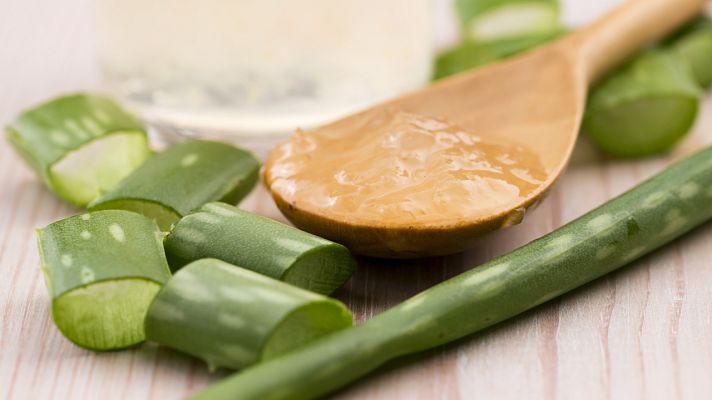 Aquí la Tierra - Hacemos hidrogel y leche solar con hojas de aloe vera