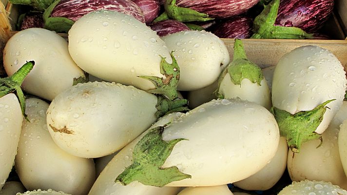 Aquí la Tierra - Con el chef Ricard Camarena en la huerta valenciana