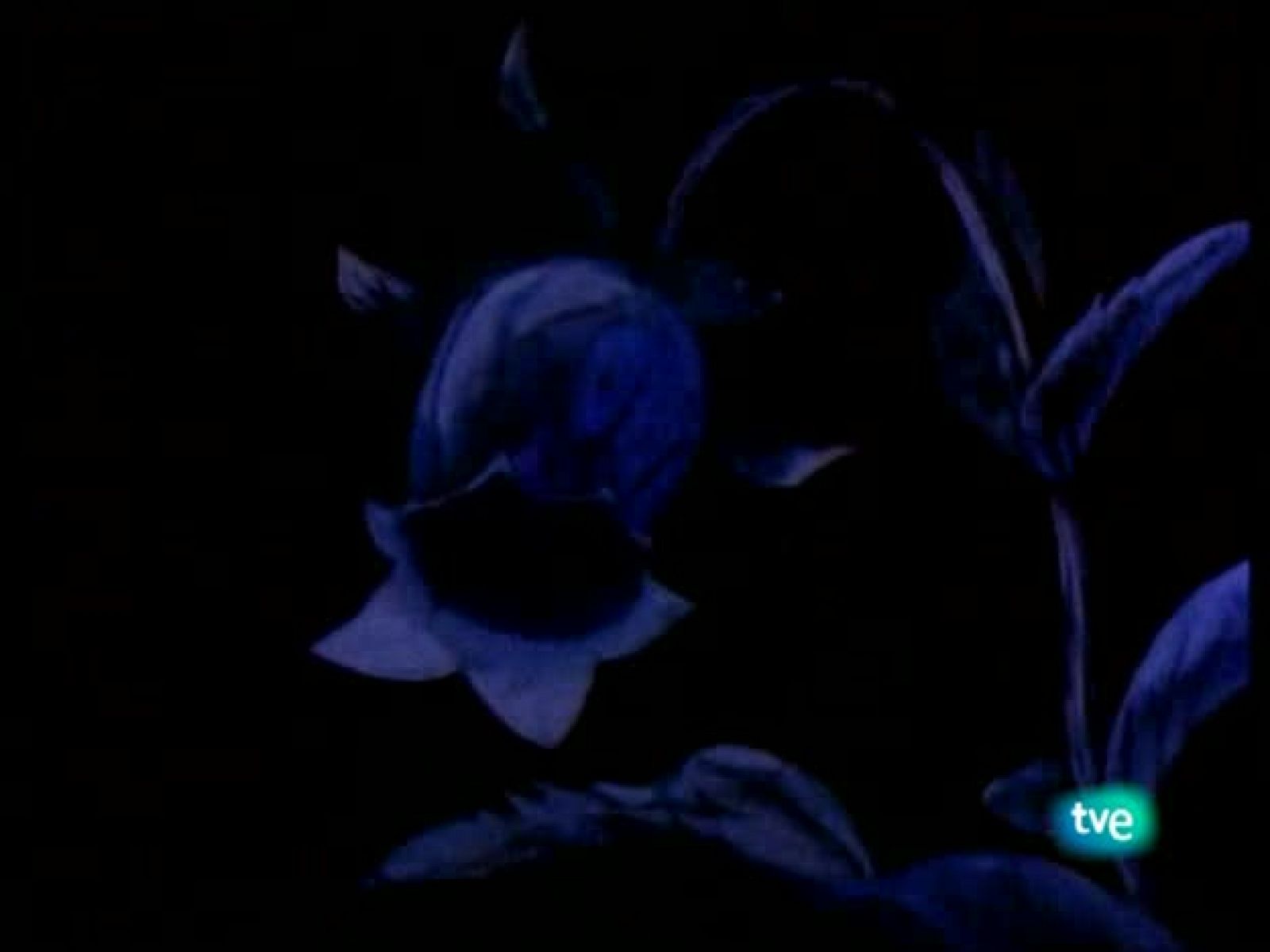 La abeja Maya - La Abeja Maya | Ver