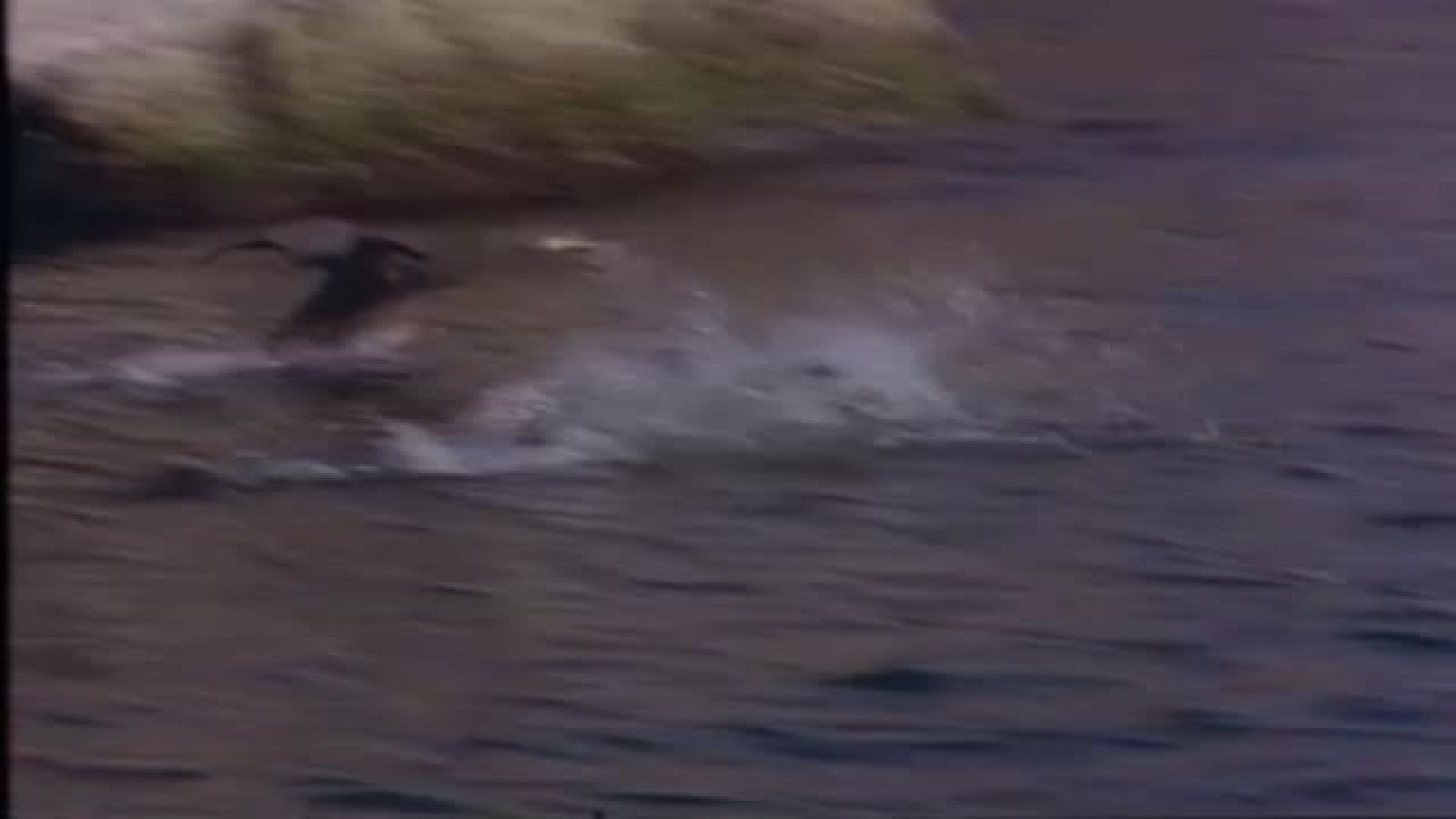 Arxiu TVE Catalunya - L'Odissea - La gespa contra el cel, de Joan Perucho