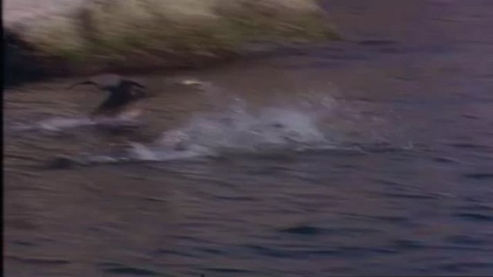 L'Odissea - La gespa contra el cel, de Joan Perucho