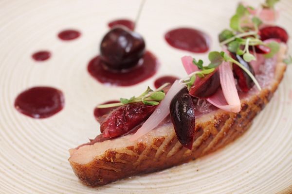 RTVE Cocina - Magret de pato con cerezas