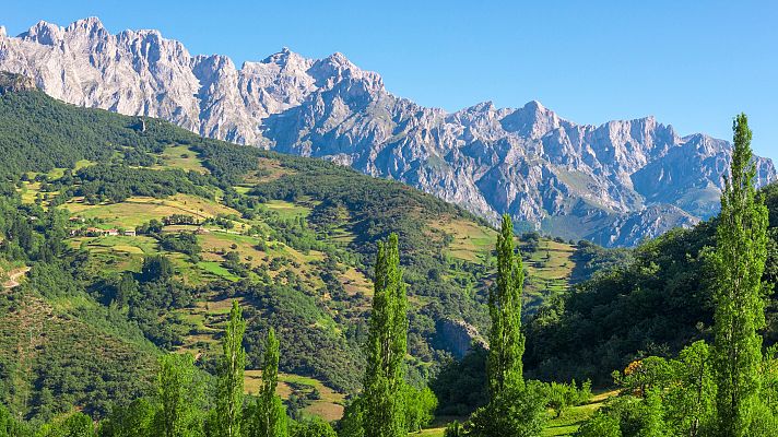 España Directo - España Directo - 23/07/20