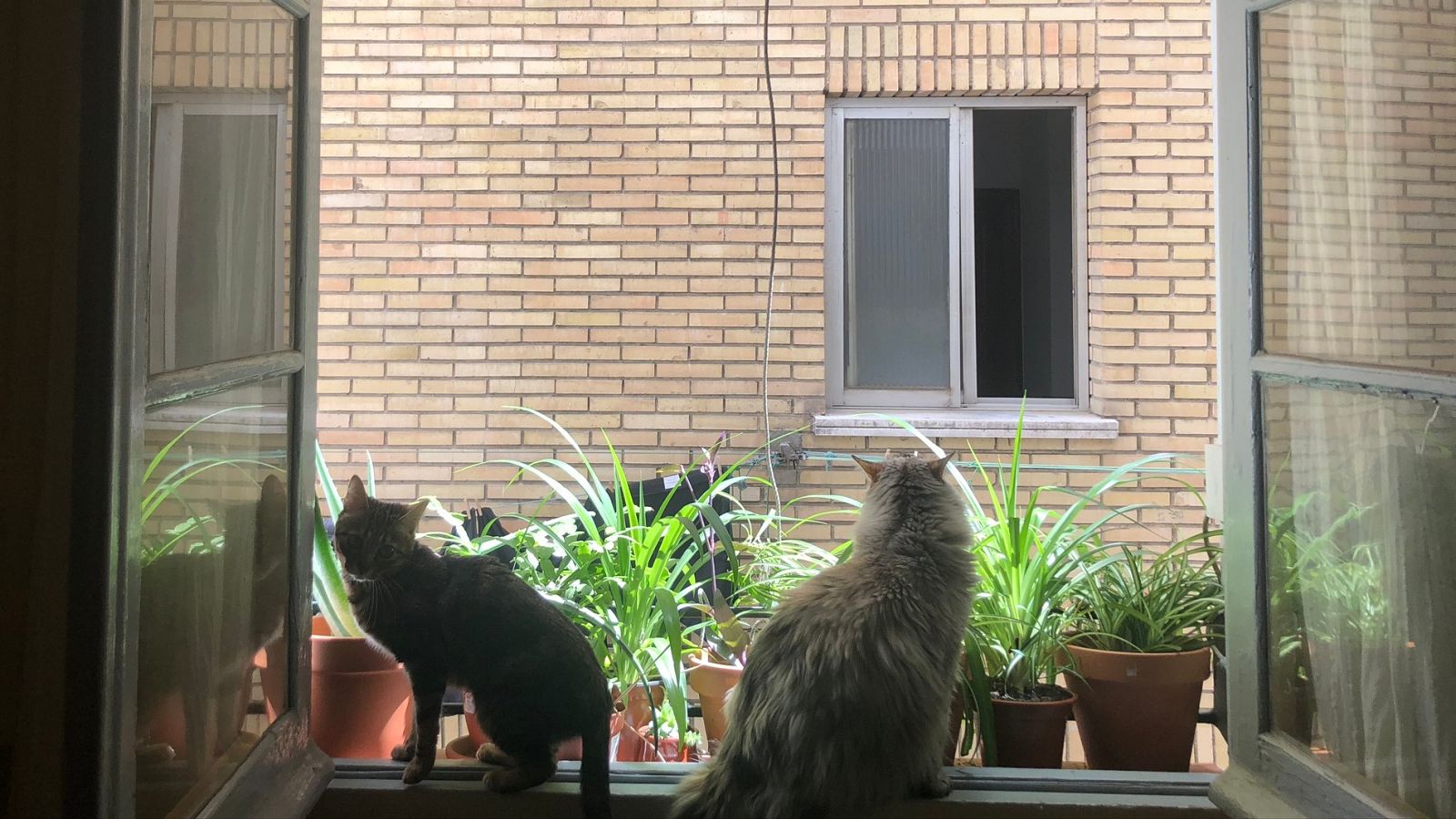 El Museo Nacional de Antropología recopila los cambios introducidos por la pandemia del coronavirus