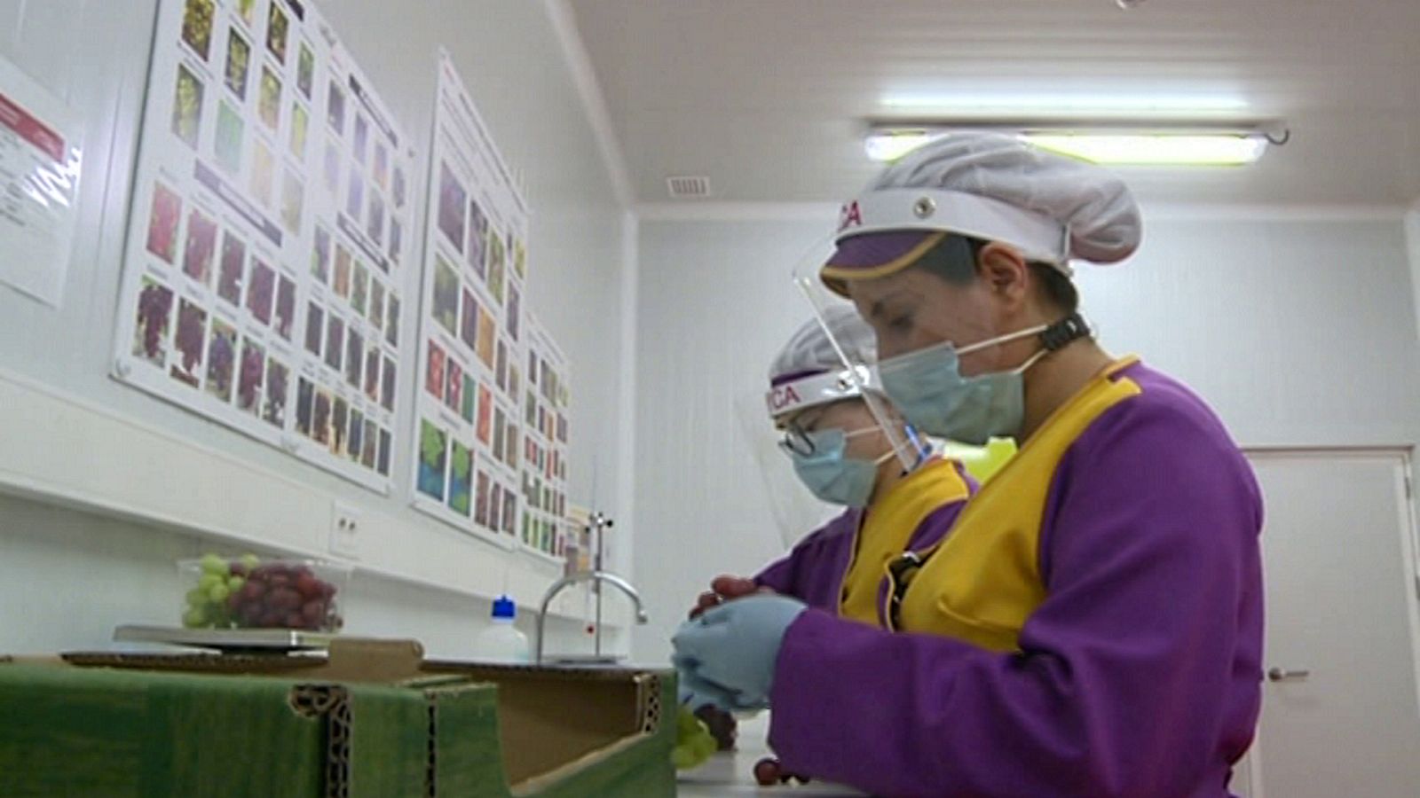 Agrosfera - 25/07/20 - ver ahora