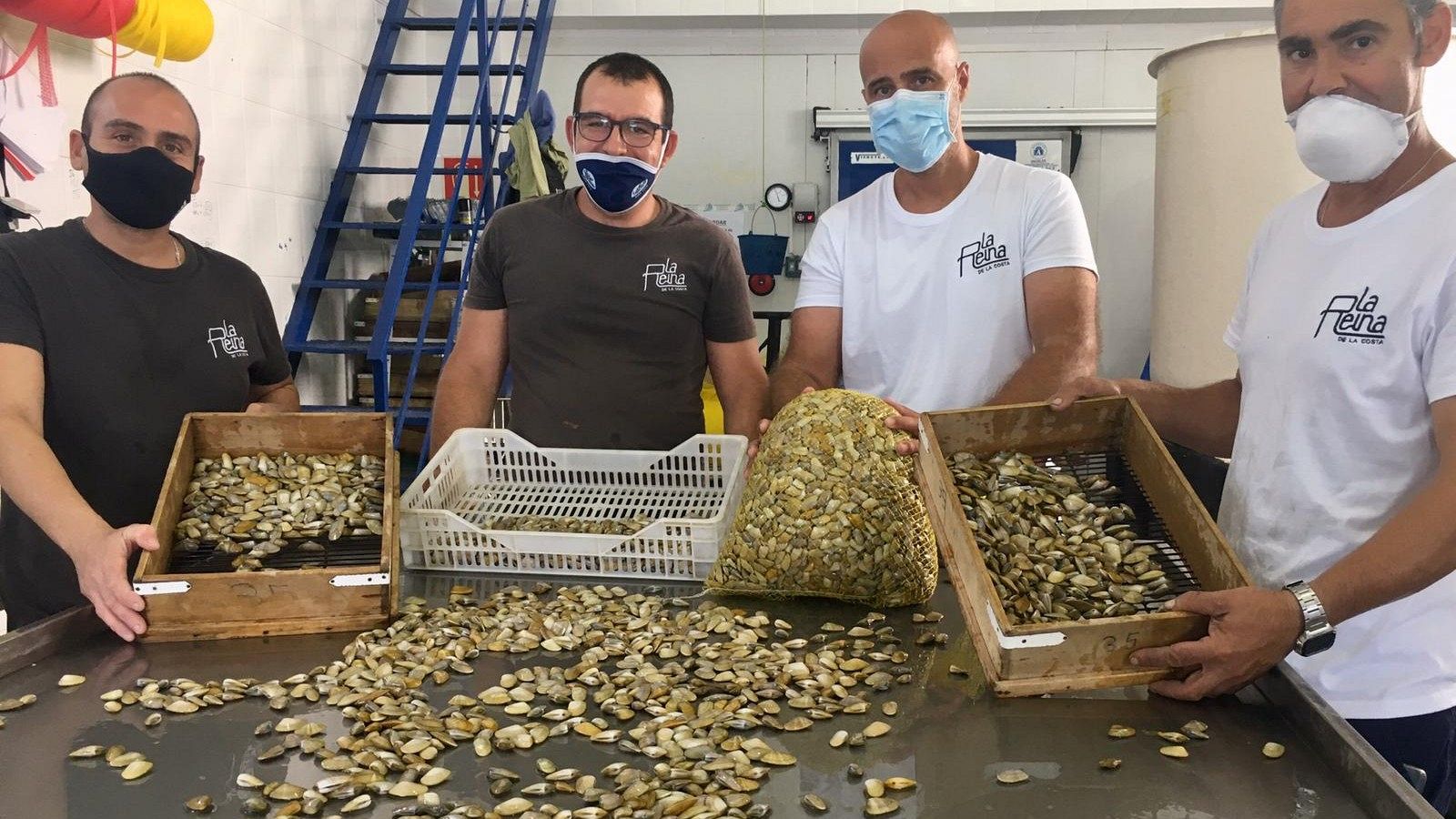 La pesca de las coquinas - España Directo | Ver