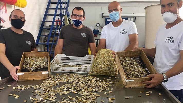 España Directo - A la pesca de coquinas, uno de los de los mayores manjares d