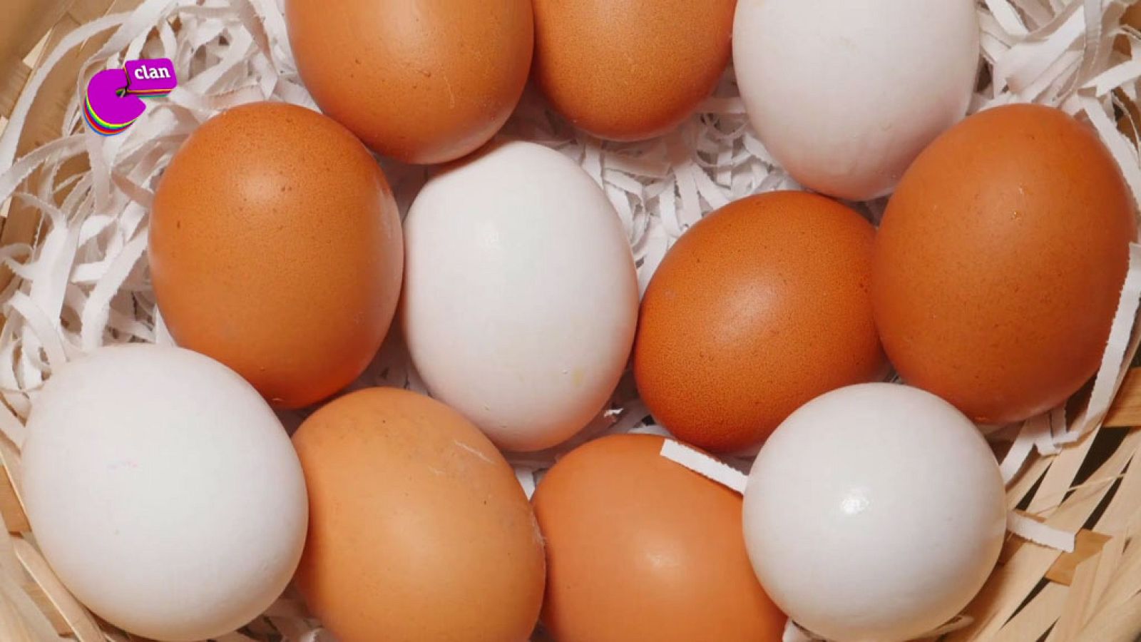 CAMPAÑA 'SALUD Y BIENESTAR' - ¿Sabes por qué algunos huevos son blancos y otros morenos? - El mes de... | Ver