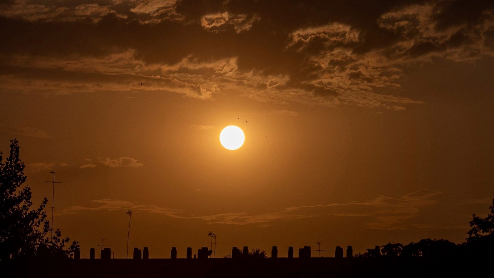 Telediario 1 en cuatro minutos - 30/07/20 - Ver ahora