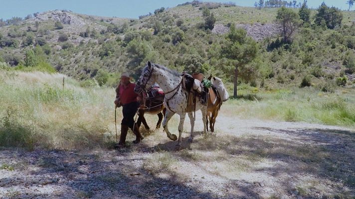 Aquí la Tierra - Acompañamos a la última trashumancia de yeguas