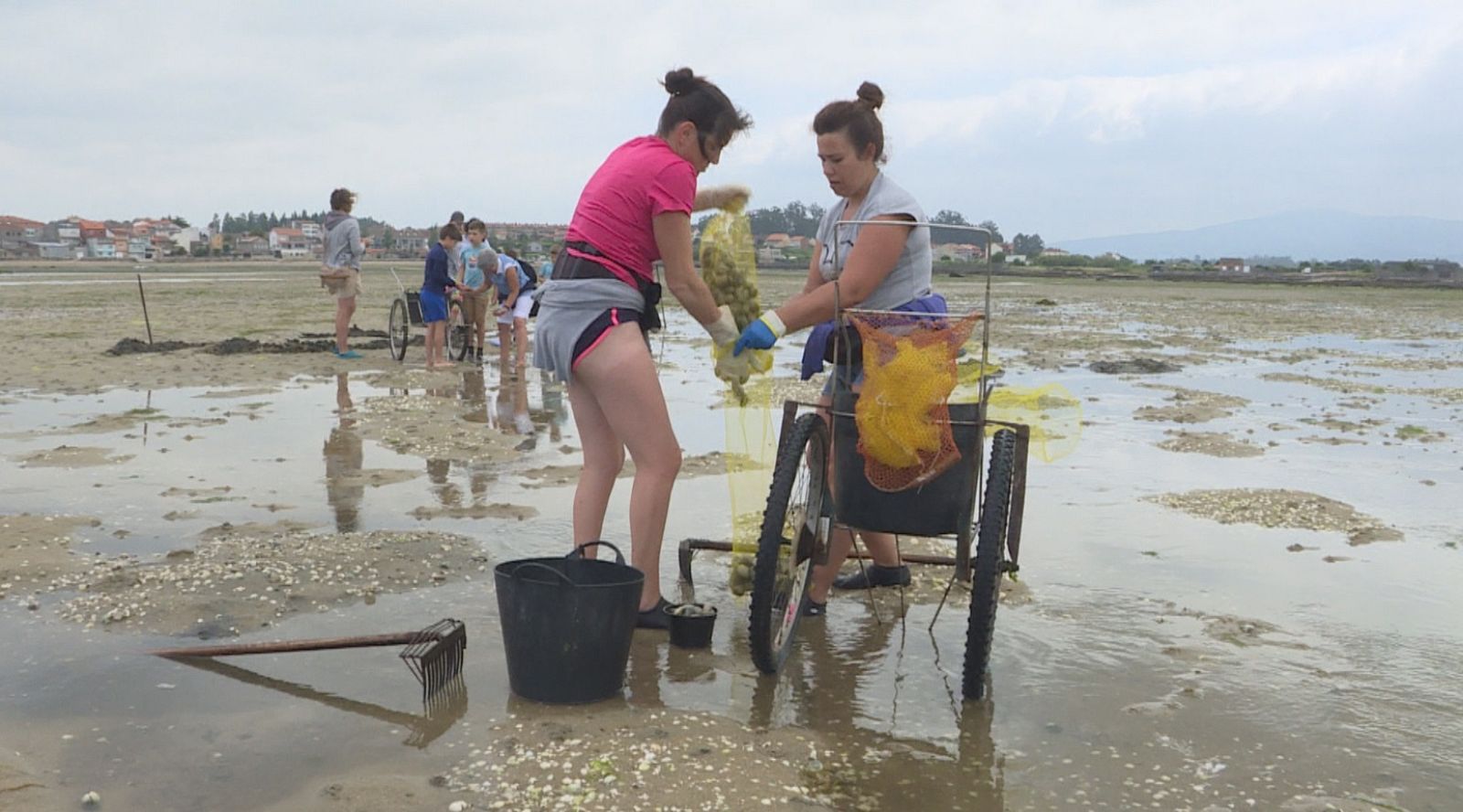 Descubrimos la historia del marisco en Cambados | Ver
