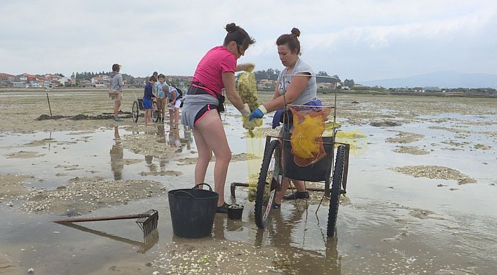 Comando Actualidad - Cambados, un destino que esconde la historia del marisco