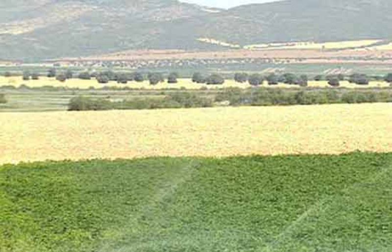 Informe semanal - La última oportunidad de Las Tablas