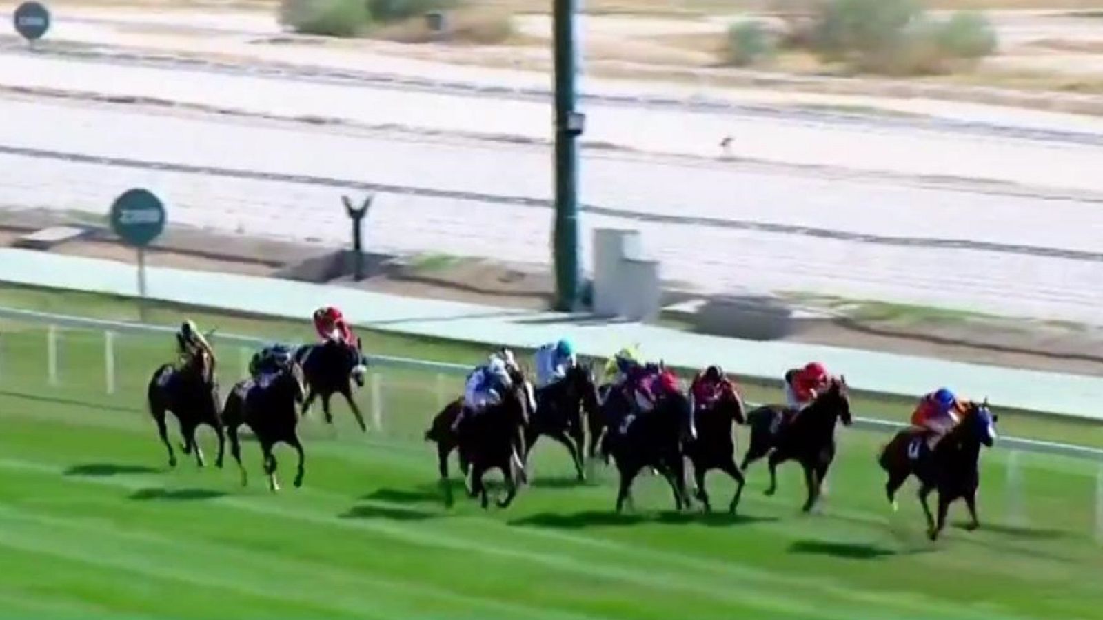 Hípica - Circuito nacional de carreras de caballos, desde el Hipódromo de La Zarzuela (Madrid) - ver ahora