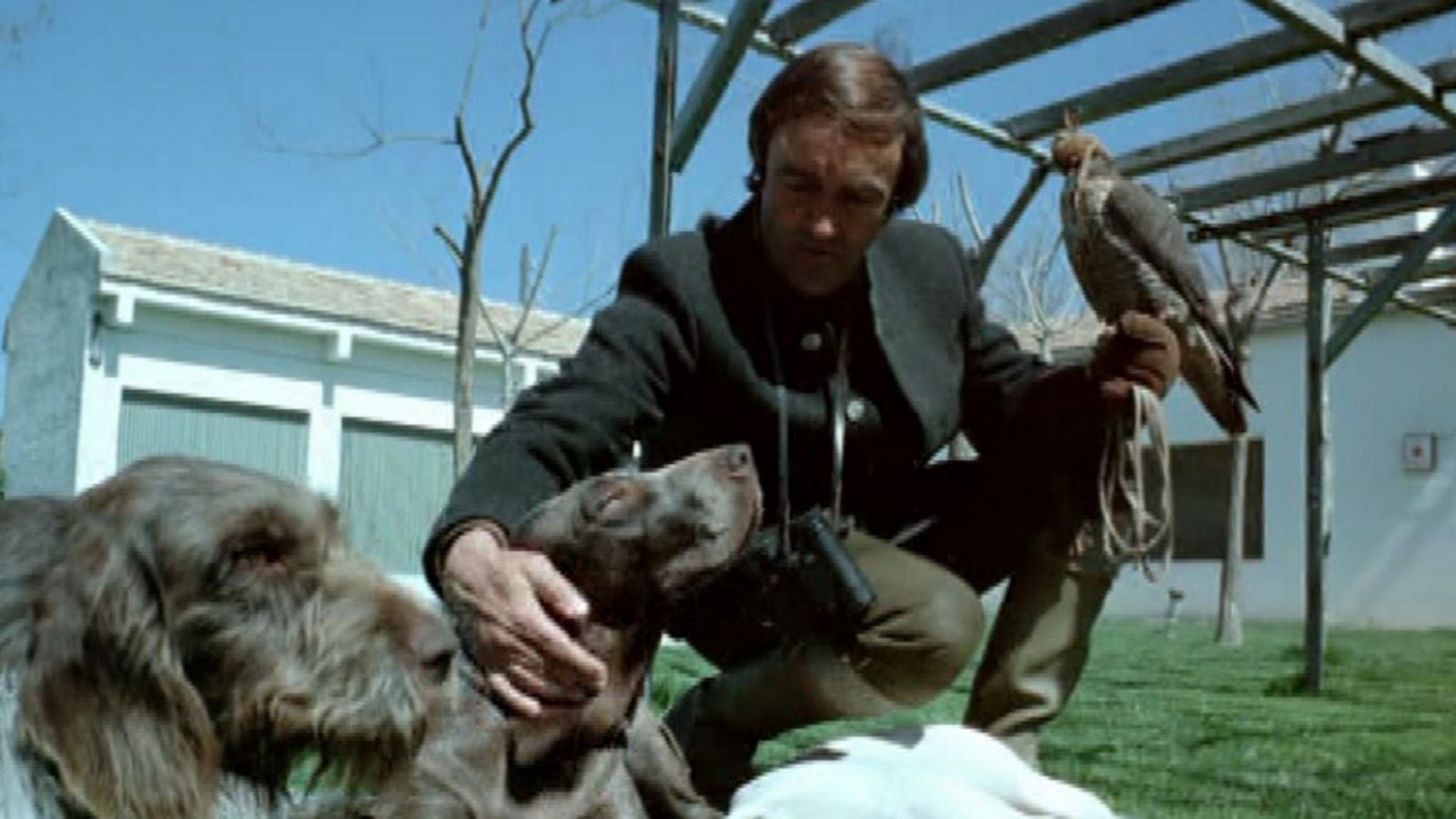 El hombre y la Tierra (Fauna ibérica) - Altaneria, 2 - ver ahora