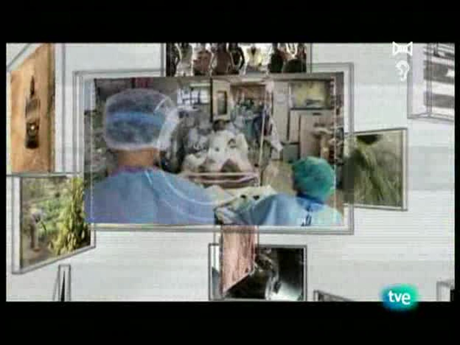 En realidad - Animales muy humanos - En realidad | Ver