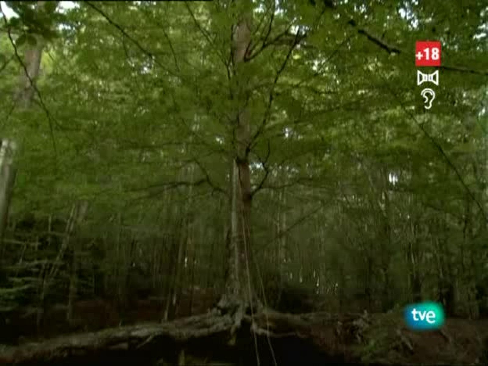 Metrópolis - BIACS 3: "Youniverse" - Metrópolis | Ver