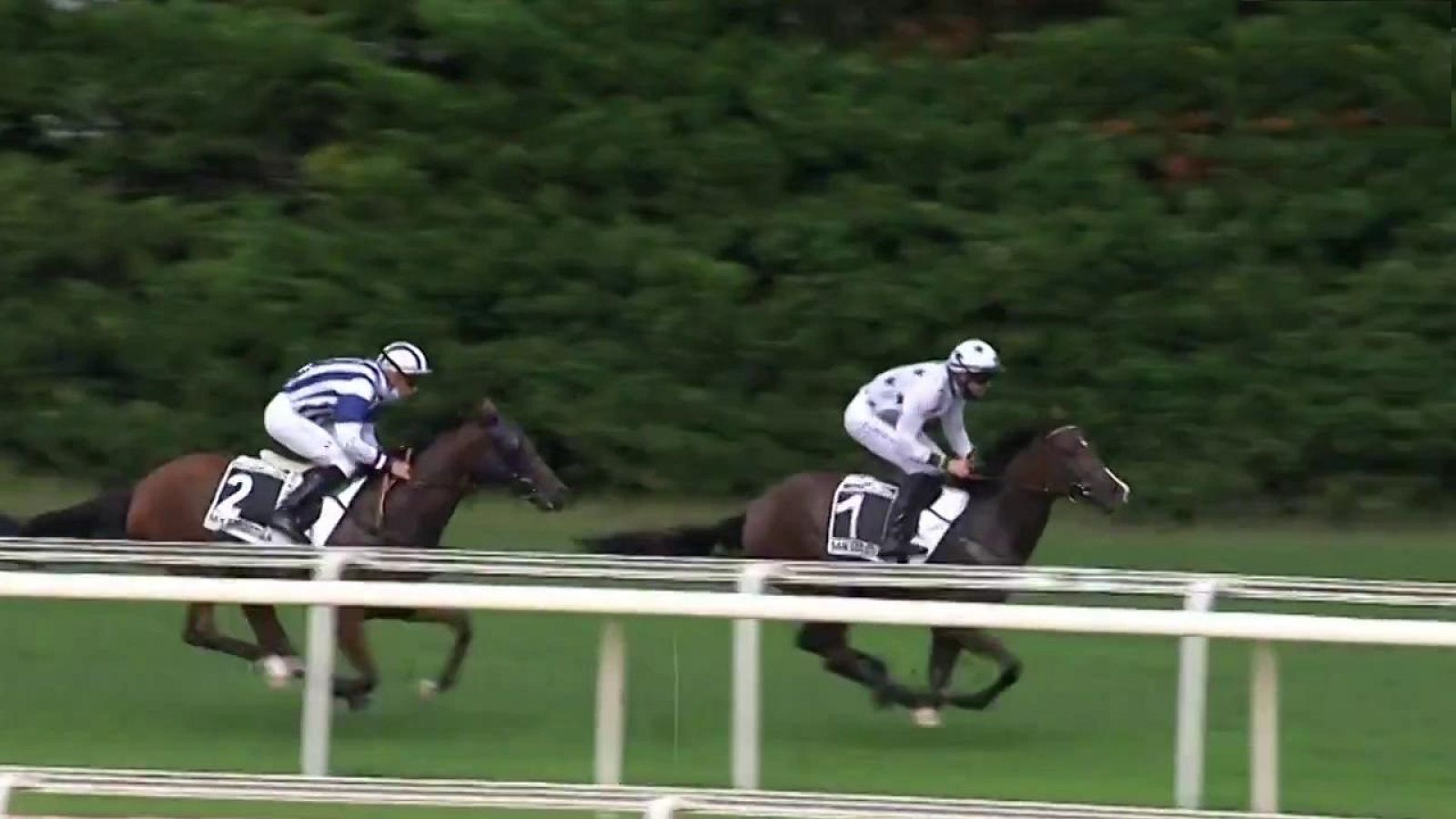 Hípica - Circuito nacional de carreras de caballos, desde el Hipódromo de San Sebastián - ver ahora