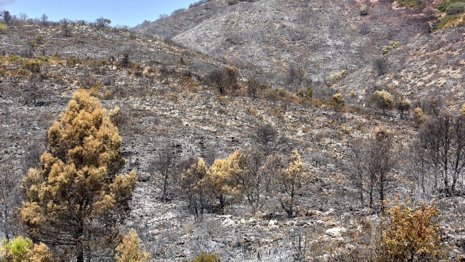 L'Informatiu - Comunitat Valenciana - 11/08/20 - ver ahora