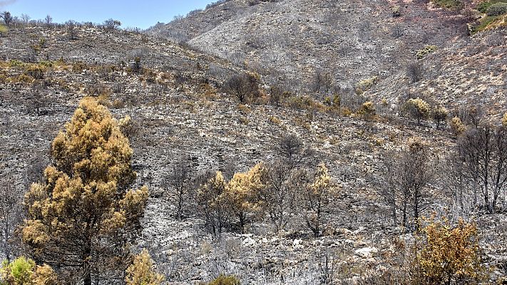 L'informatiu - Comunitat Valenciana - L'Informatiu - Comunitat Valenciana - 11/08/20