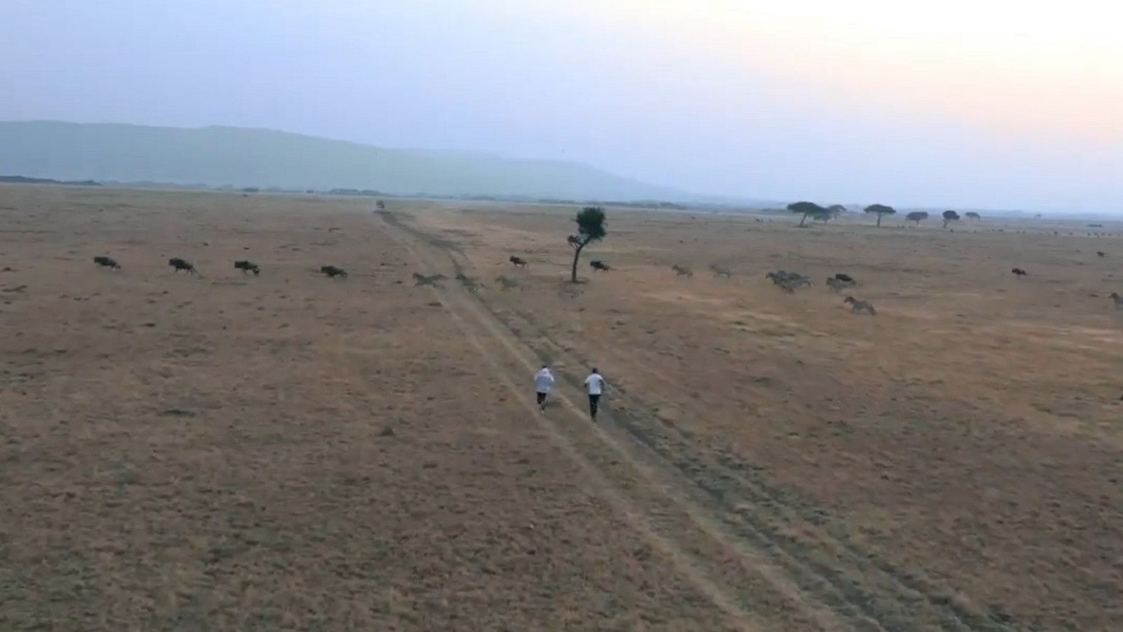 Kipchoge entrena entre animales en la reserva Masai Mara | Ver