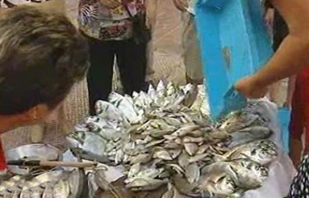 España Directo - Las pescaderas de Guardamar