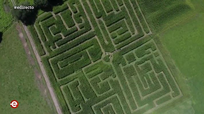 España Directo - España Directo - 12/08/20