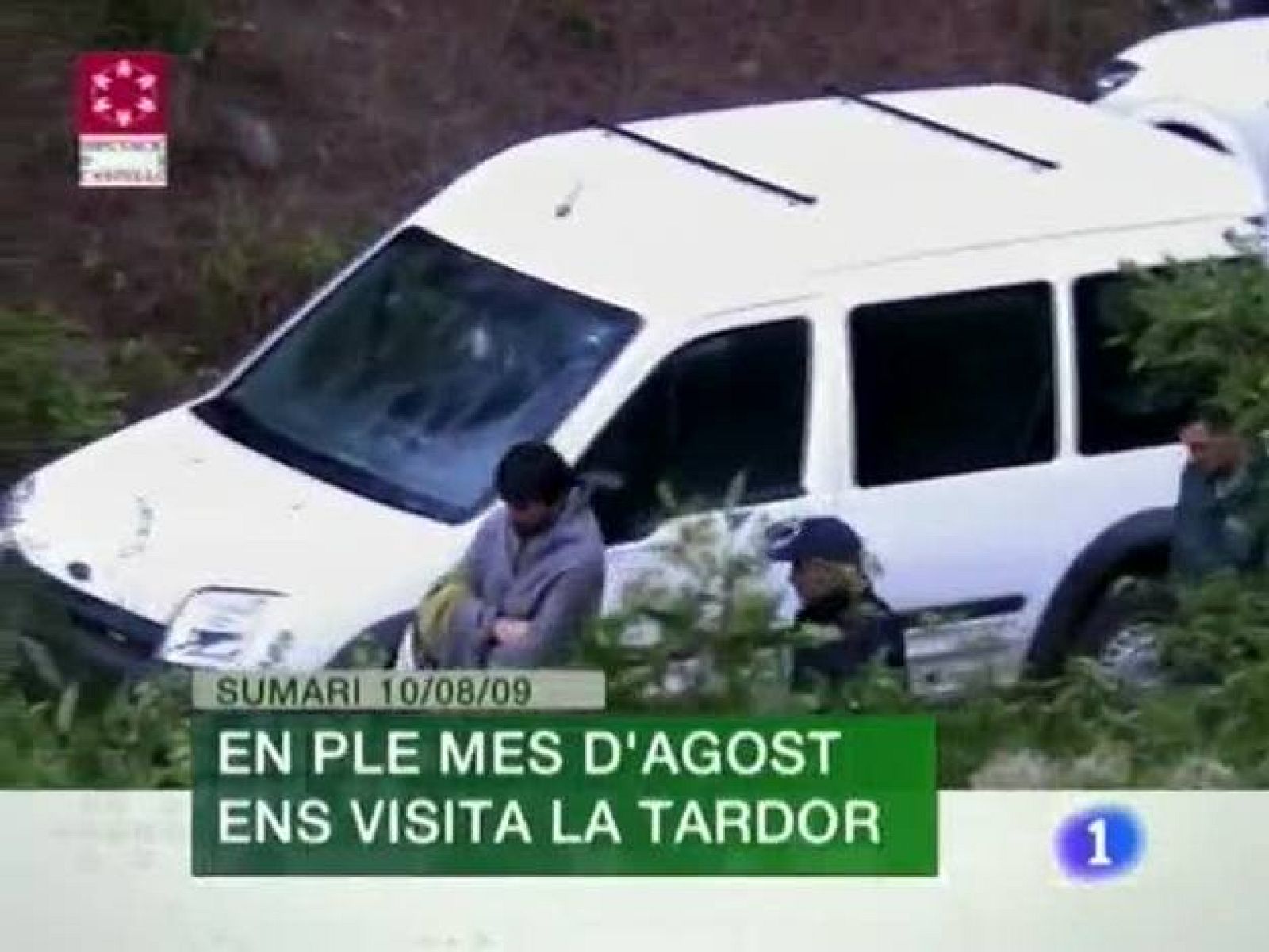 L'Informatiu. Informativo Territorial de la C.Valenciana (10/08/09)