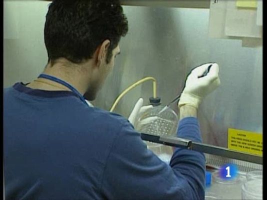 Ciencia y tecnología en Rtve.es - Células madre