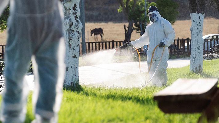 Telediario 1 - Coria del Río fumiga parques y jardines para frenar el brote de virus del Nilo