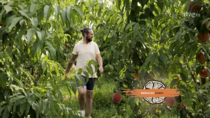 Cocina al punto con Peña y Tamara - Peña en Rincón de Soto (La Rioja)