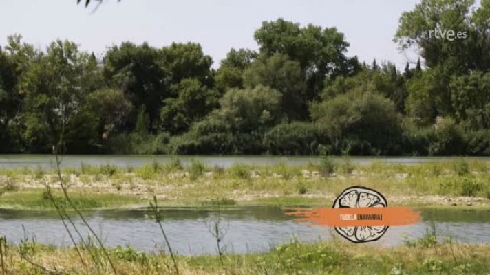 Cocina al punto con Peña y Tamara - Peña en Tudela (Navarra)