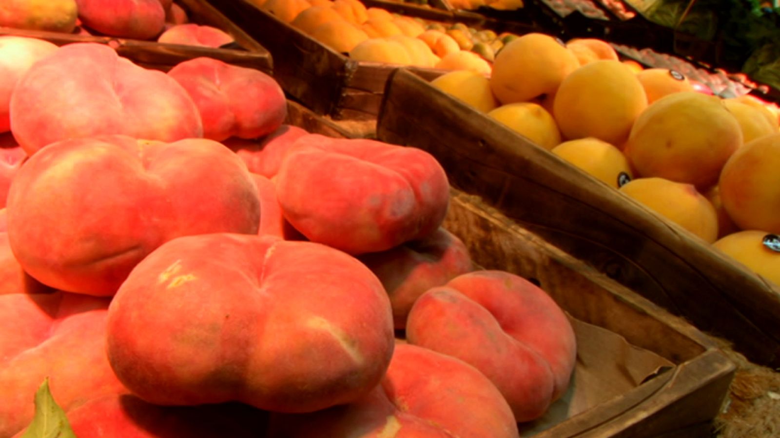 Aquí la Tierra - 20/08/20 - ver ahora