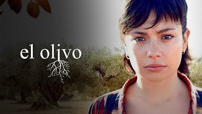 El olivo