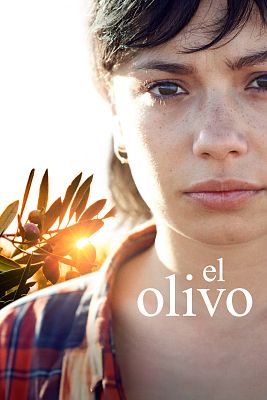 El olivo