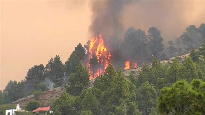 Telecanarias - Telecanarias - 22/08/2020