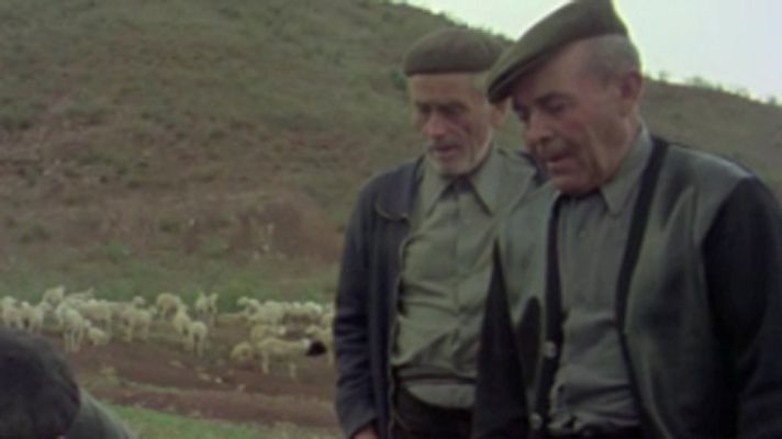 Raíces - Bolos de aldea. Pan de monte