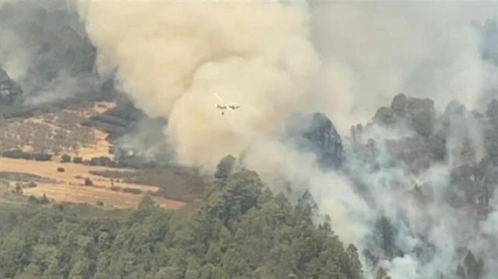 Telecanarias - Canarias en 2' - 22/08/2020