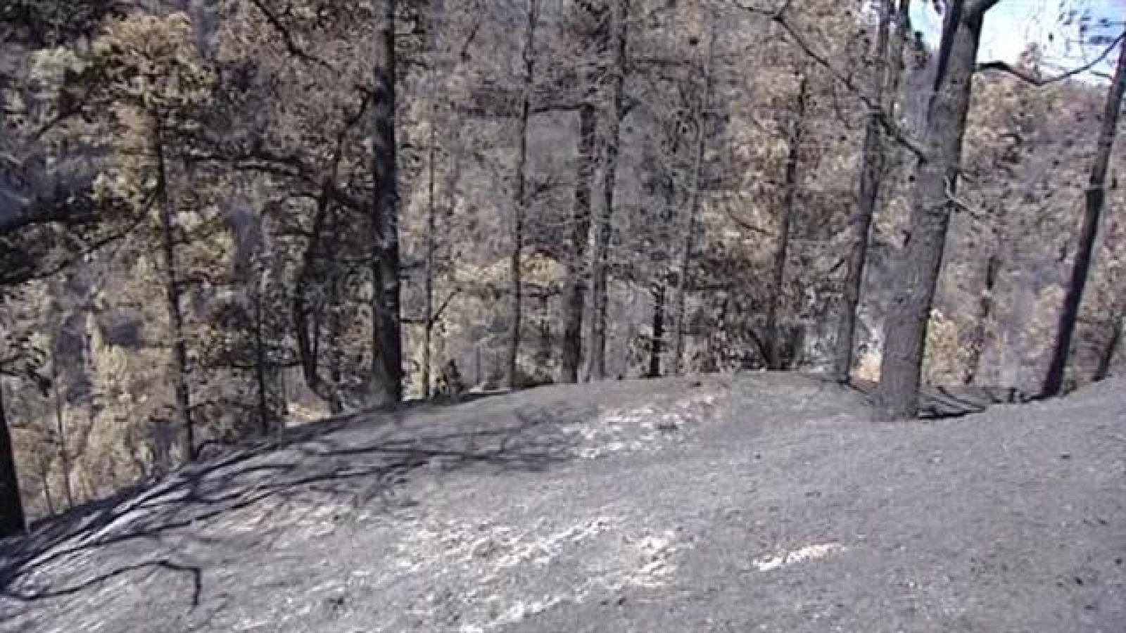 Telecanarias - 24/08/2020