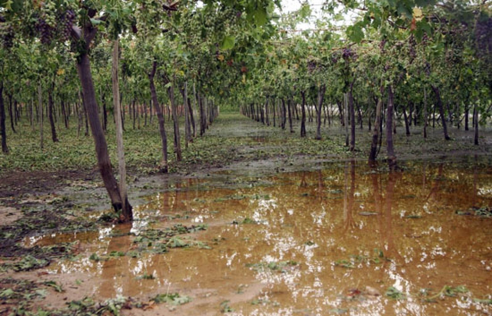 El TD2 en cuatro minutos (11/08/09)