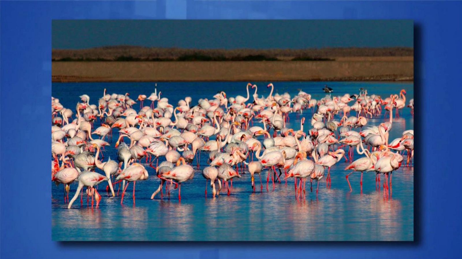 Saber y ganar - 27/08/20 - ver ahora