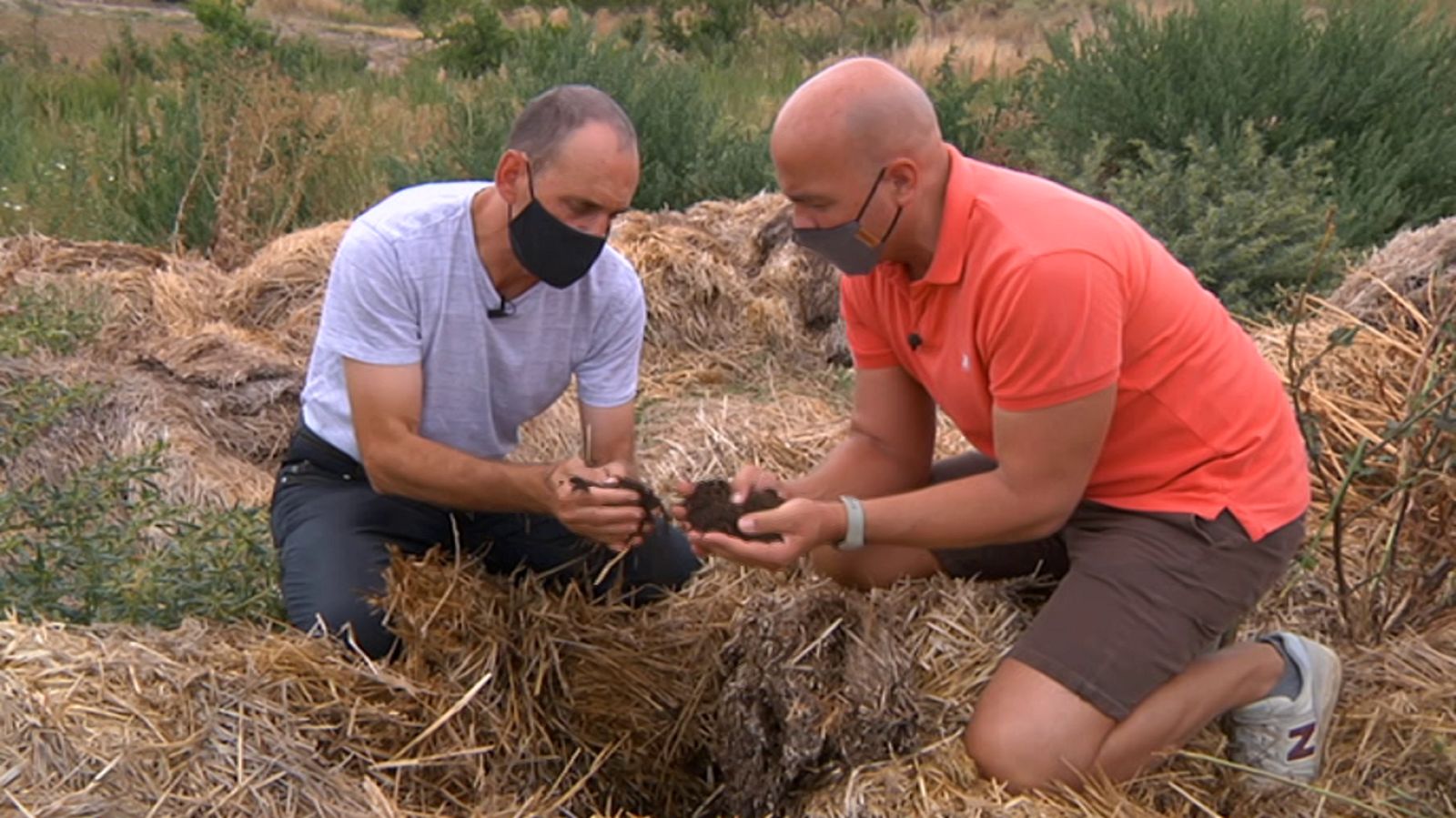 Aquí la Tierra - 28/08/20 - ver ahora