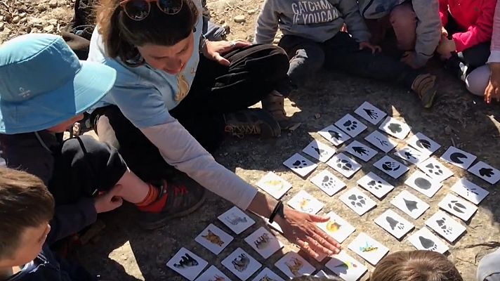 Telediario 1 - Una oportunidad para el aprendizaje fuera de las aulas