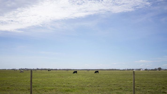 El tiempo - Cielos con nubes de evolución en los tercios norte y este  peninsulares