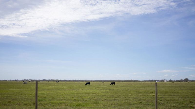 Cielos con nubes de evolución en los tercios norte y este  peninsulares