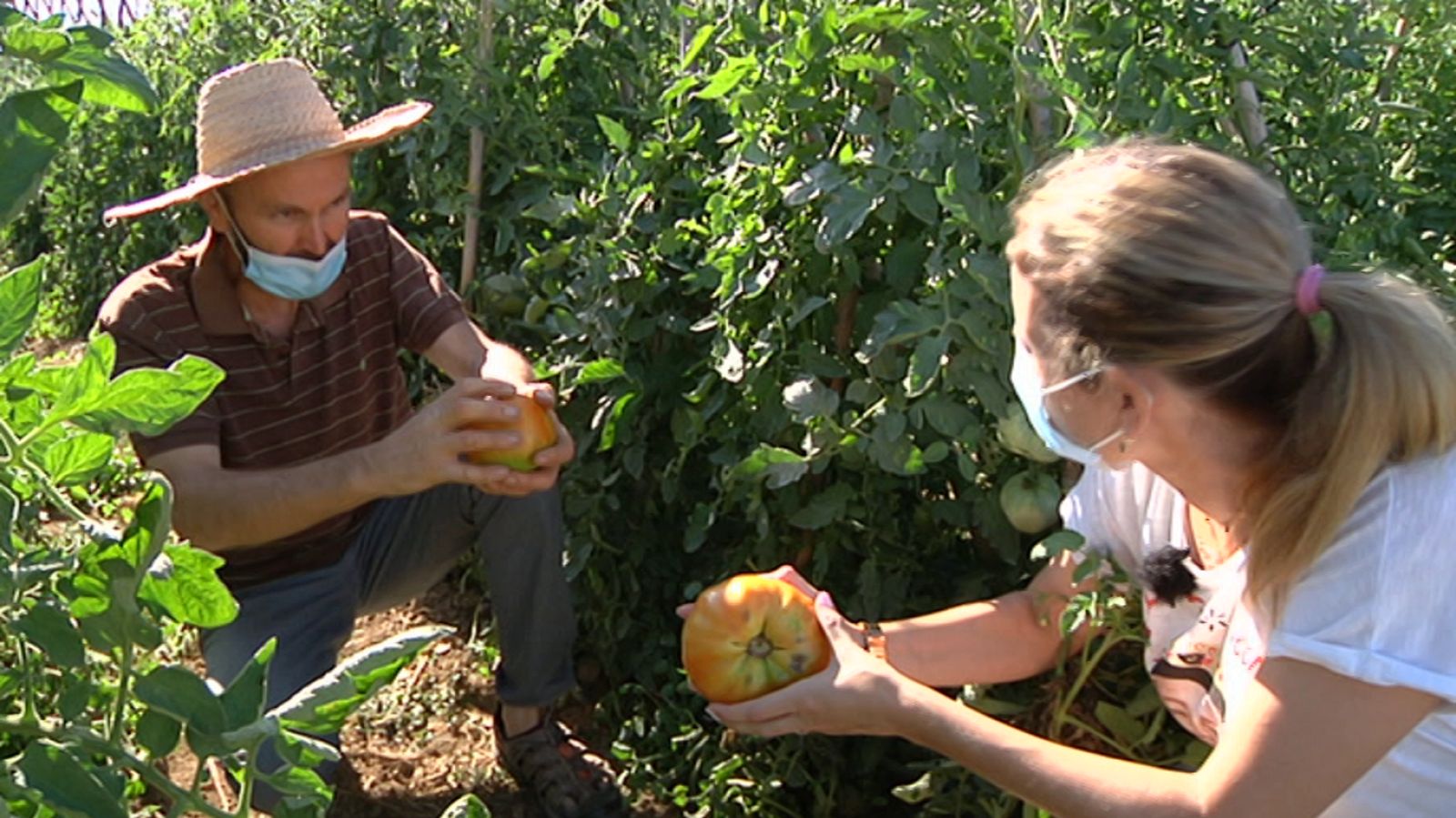 Aquí la Tierra - 30/08/20 - ver ahora
