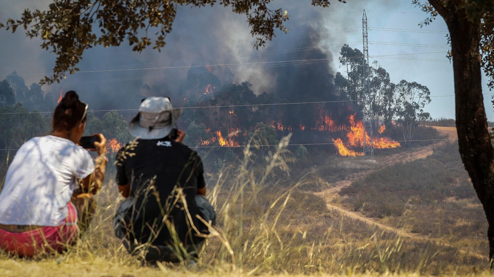 Telediario - 21 horas - 30/08/20 - ver ahora