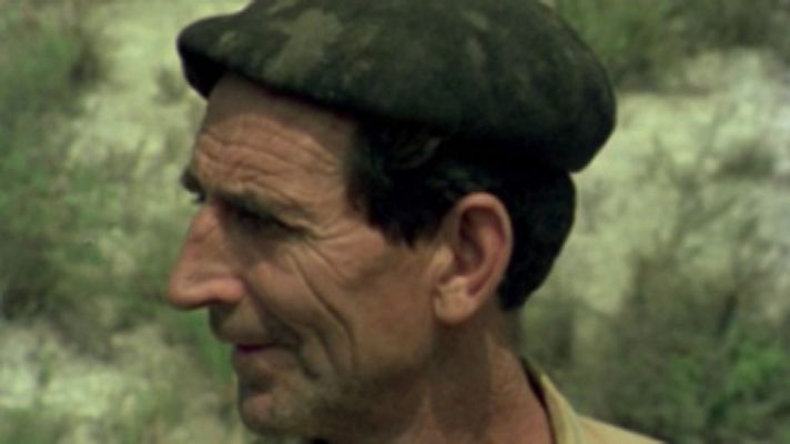 Raíces - Oliola y Cantalejo