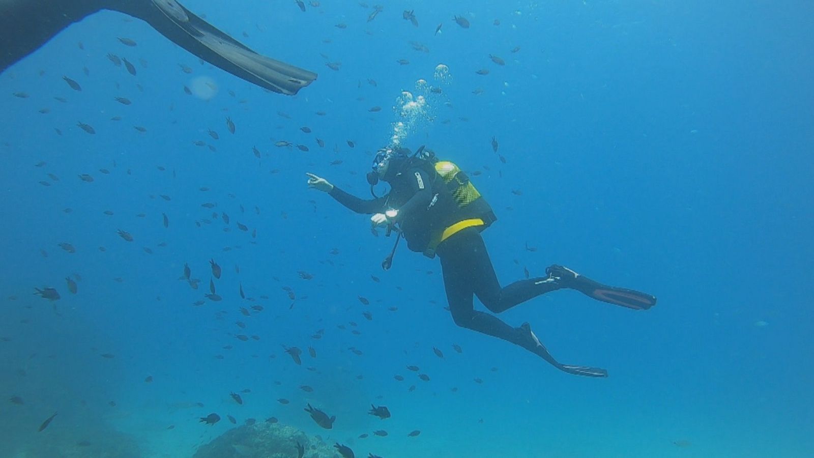 Almuñécar, un destino para disfrutar al máximo