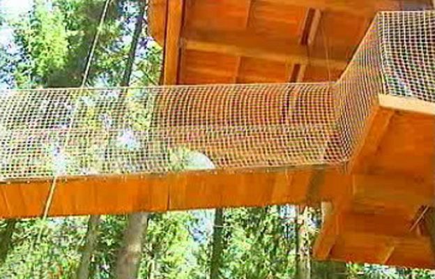 España Directo - Como Tarzán en la selva